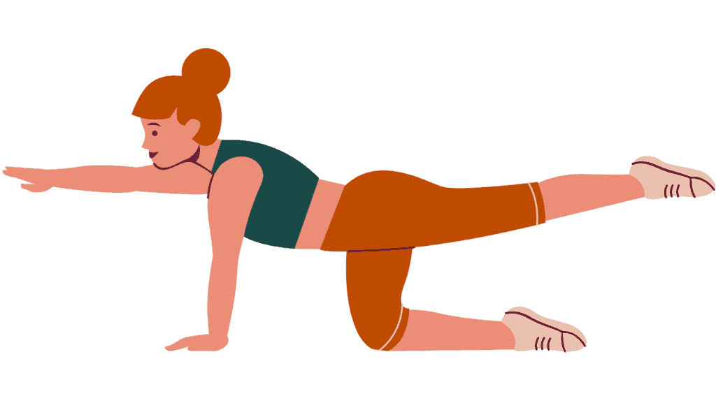 Bird Dog pose exercise