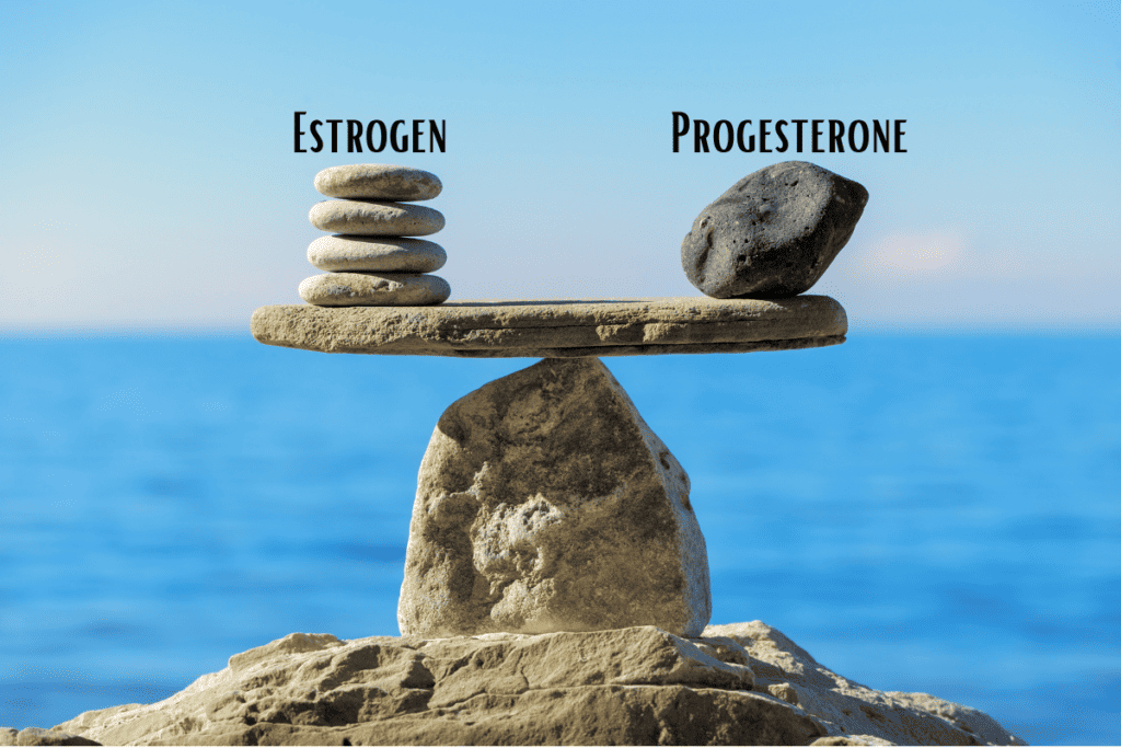 Estrogen Progesterone